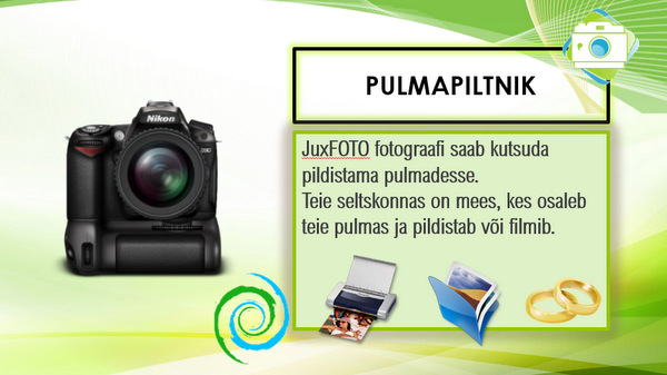 pulmapiltnik
